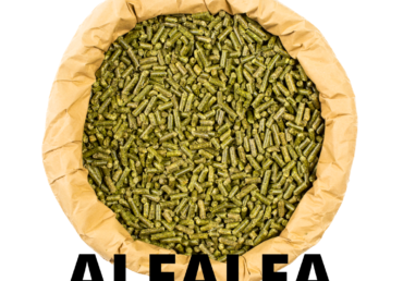 Pellet de alfalfa