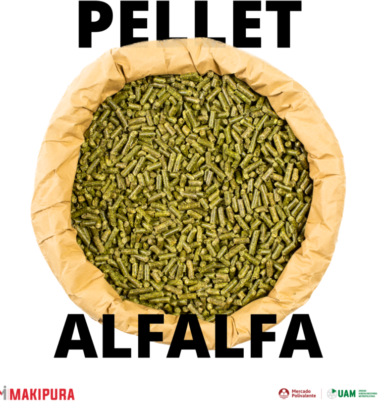 Pellet de alfalfa