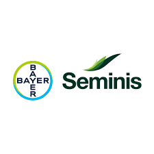 Semillas Seminis – Bayer